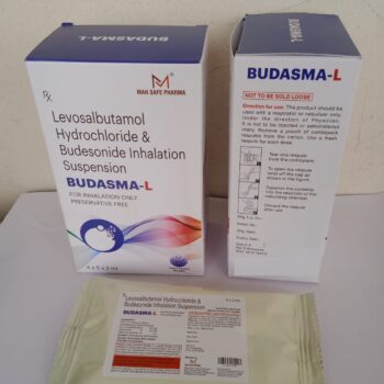BUDASMA-L