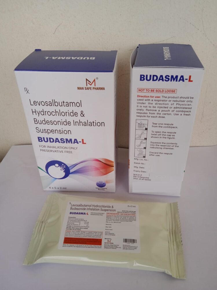 BUDASMA-L